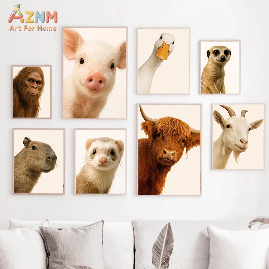 Interesting And Humorous Anima - Photography Interest review and price