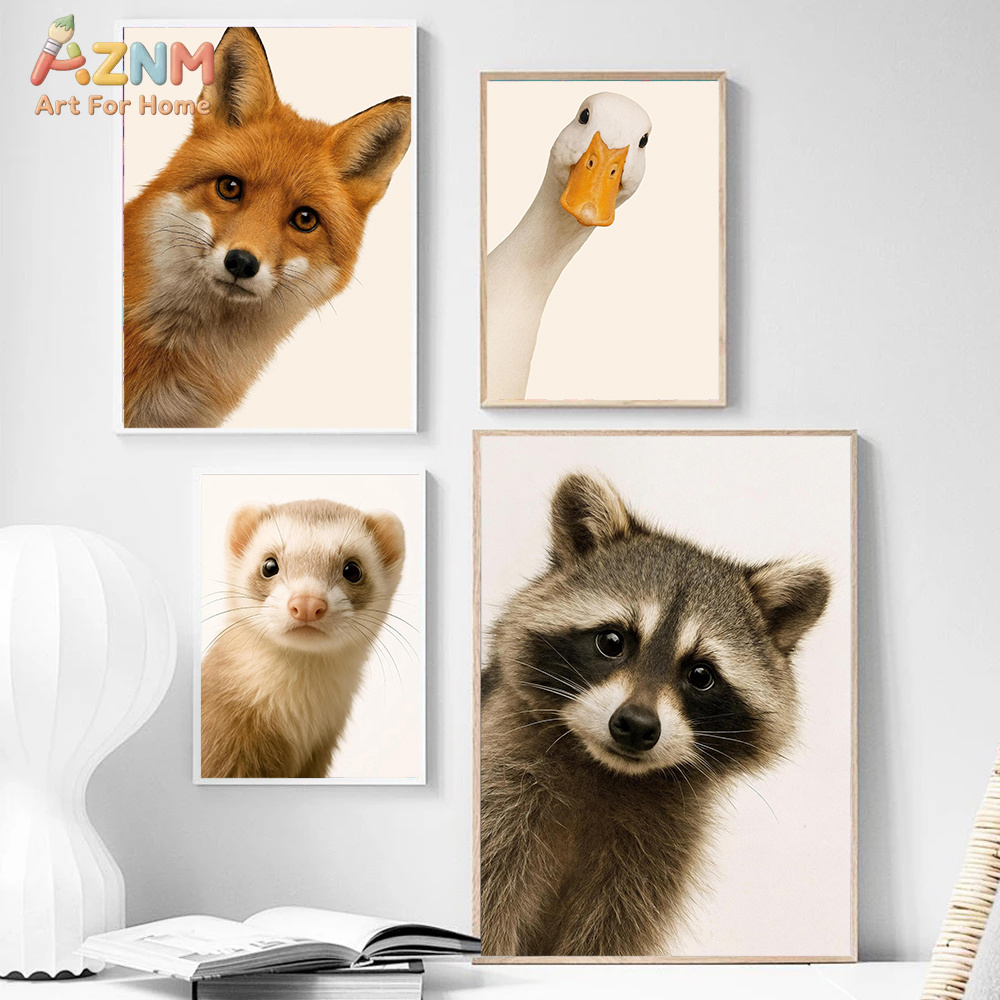 Interesting And Humorous Anima - Photography Interest review and price