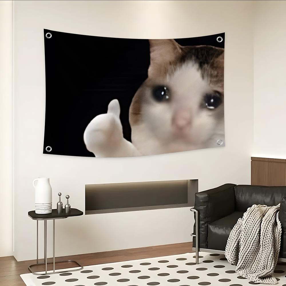 Interesting Cat Photography Fl - Photography Interest review and price